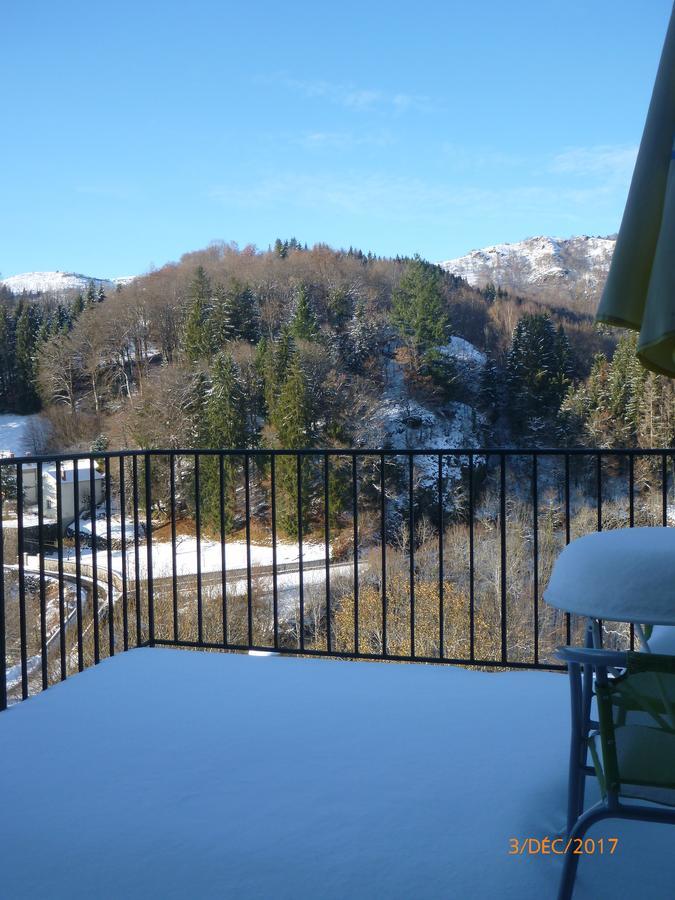 Logis Hotel Les Tilleuls Saint-Cirgues-de-Jordanne Zewnętrze zdjęcie